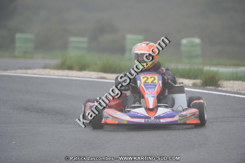 DSC_4295.JPG