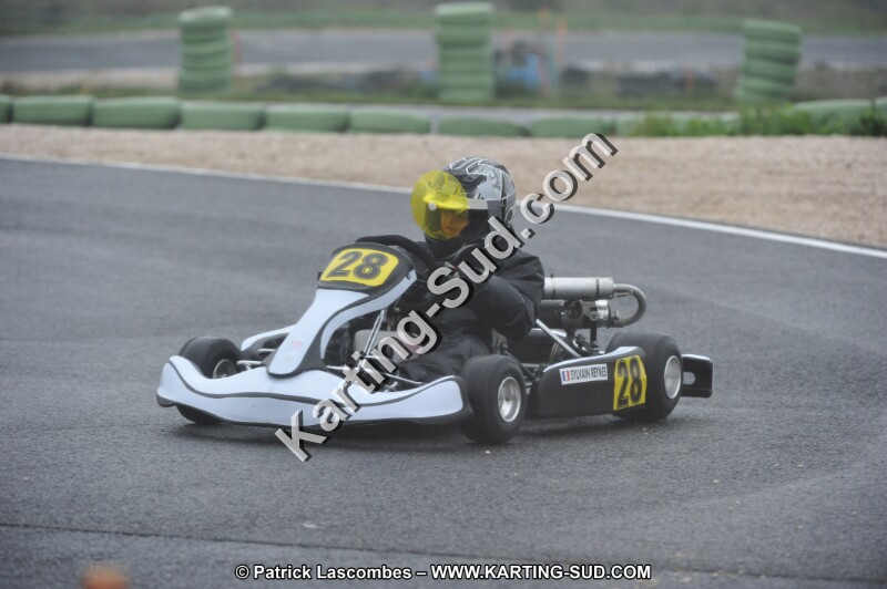 DSC_4331.JPG