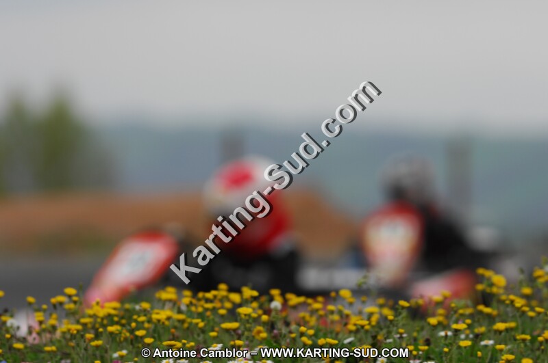 DSC_0721.JPG