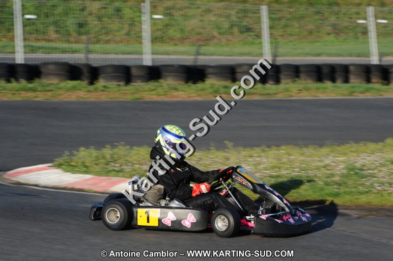 DSC_3661.JPG