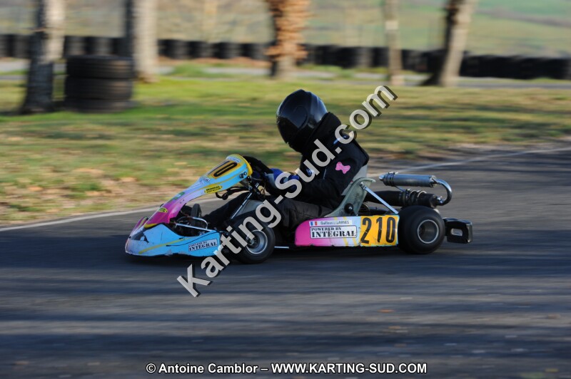 DSC_3687.JPG
