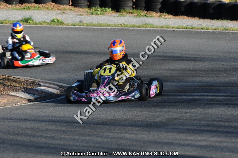DSC_3731.JPG