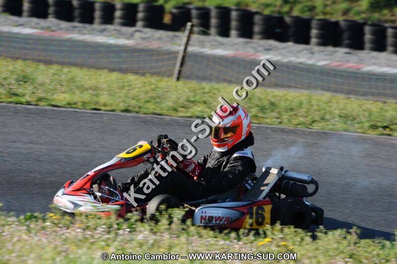 DSC_3803.JPG