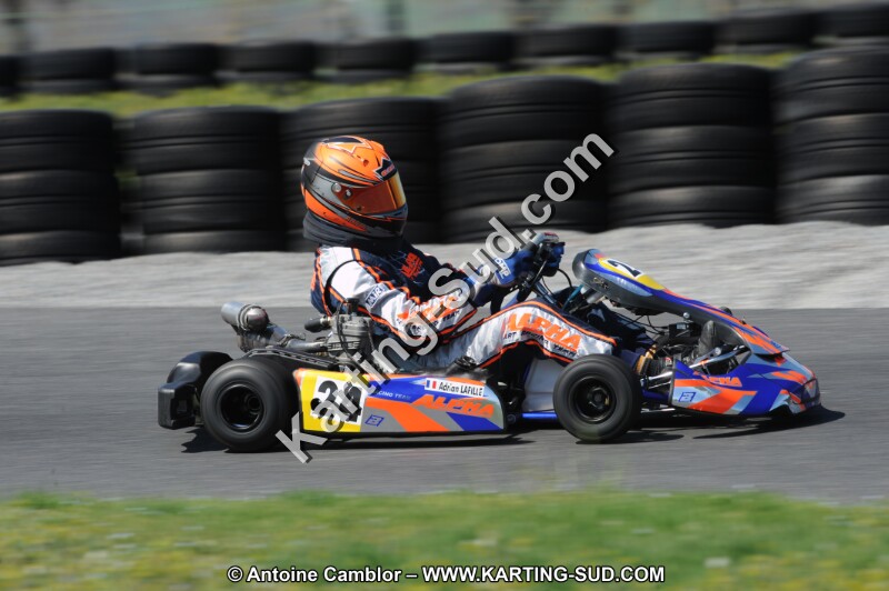 DSC_4881.JPG