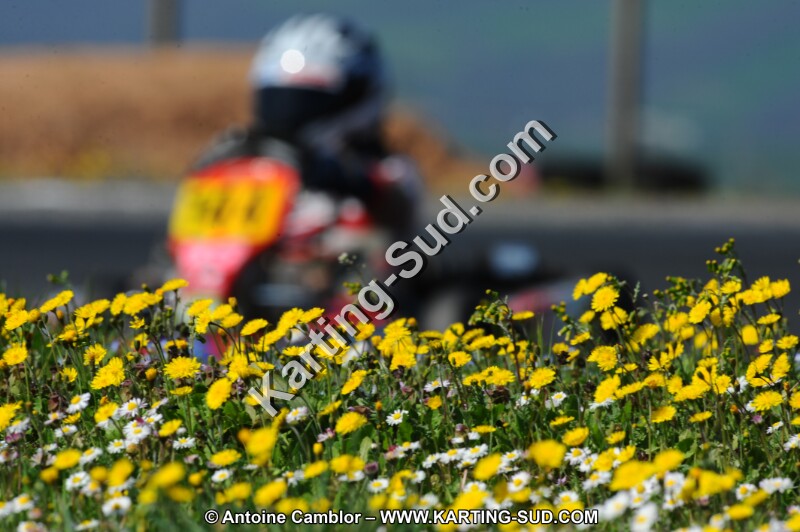 DSC_5232.JPG
