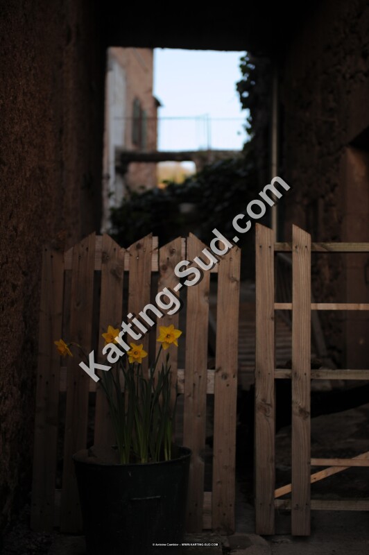 DSC_5999.jpg