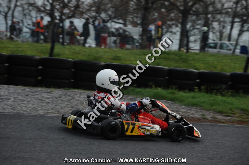 DSC_6178.JPG
