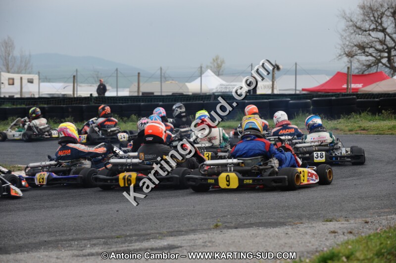 DSC_6336.JPG