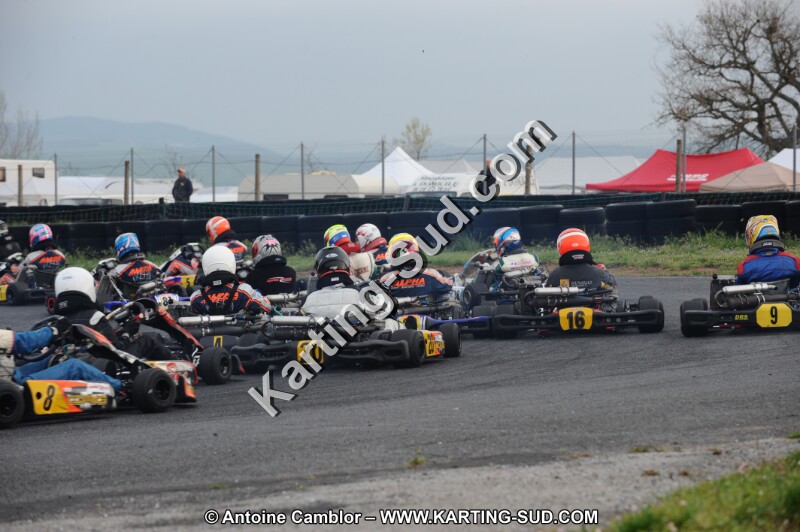 DSC_6337.JPG