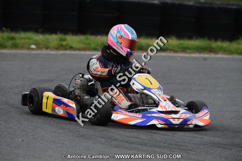 DSC_6377.JPG