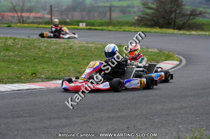 DSC_7951.JPG