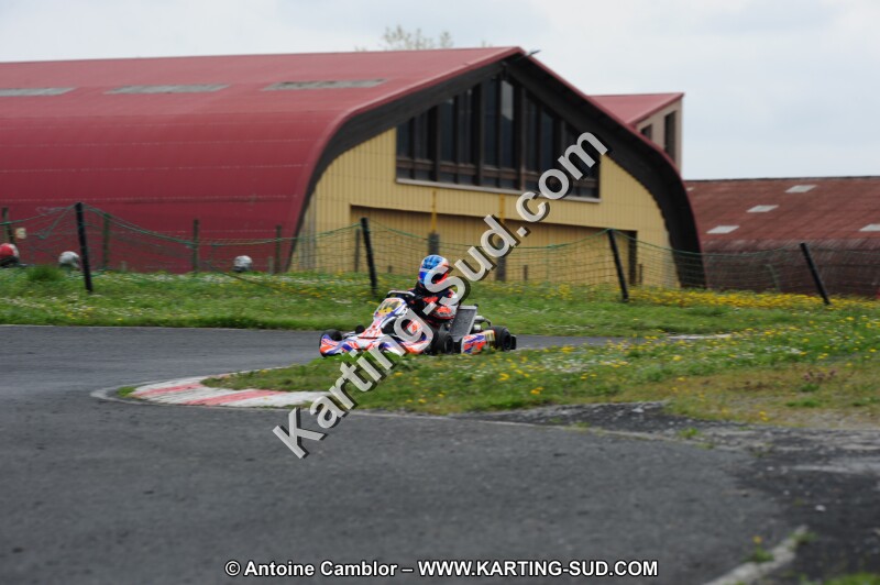DSC_7993.JPG