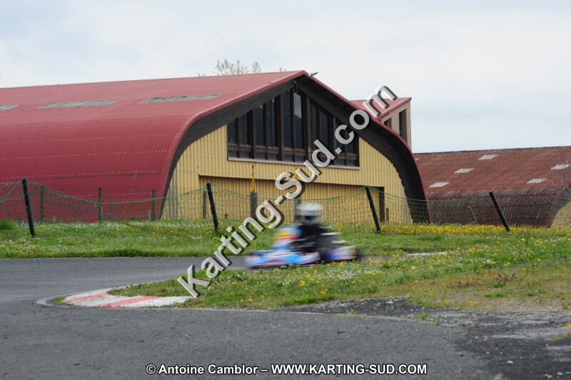 DSC_8010.JPG