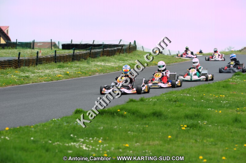 DSC_8211.JPG
