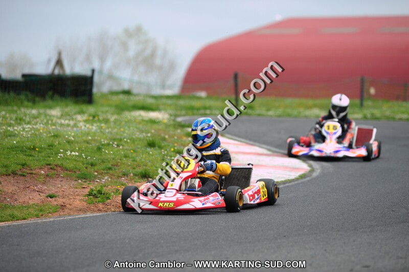DSC_8246.JPG