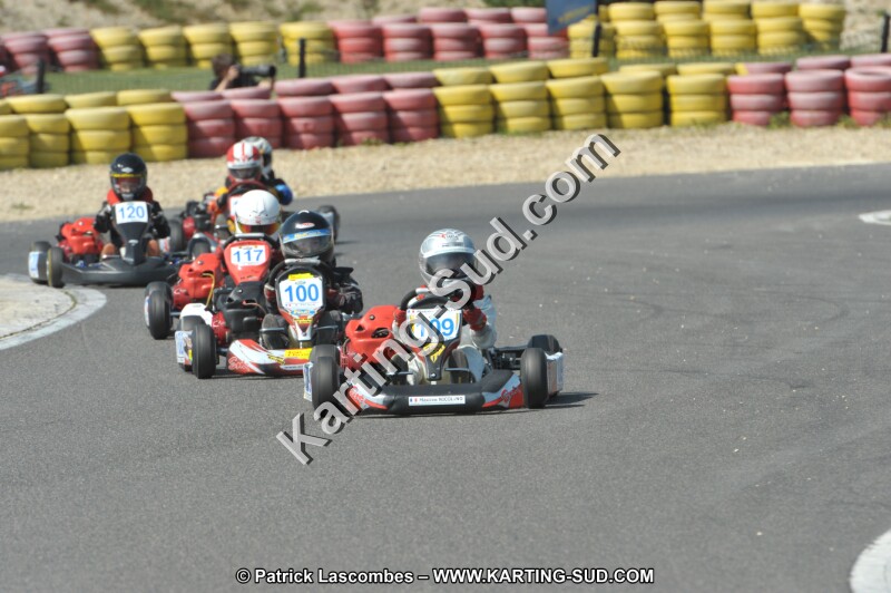 DSC_2013.JPG