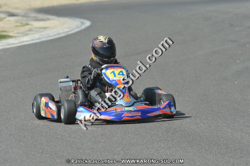 DSC_2217.JPG