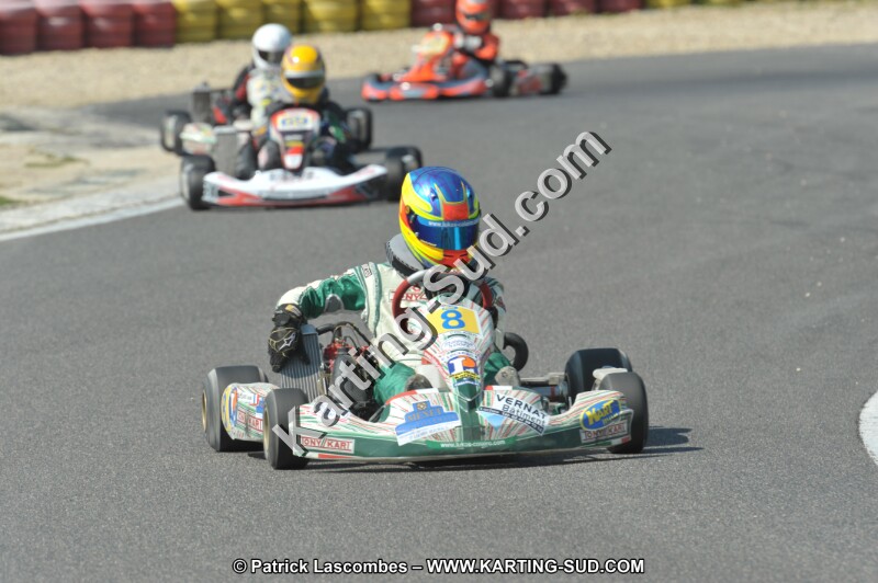 DSC_2246.JPG