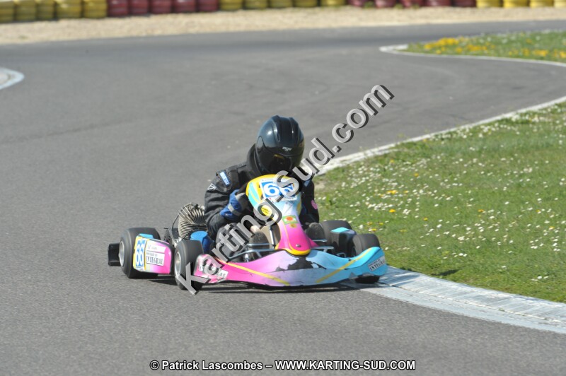 DSC_2300.JPG