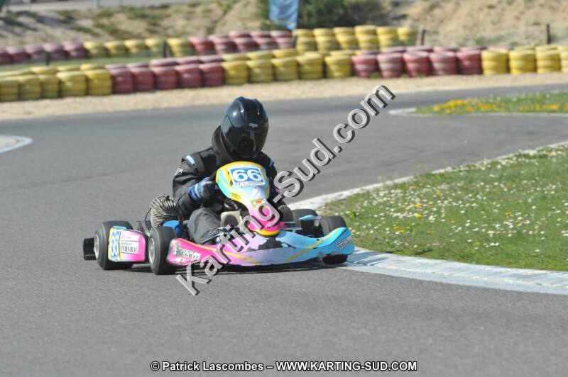 DSC_2308.JPG