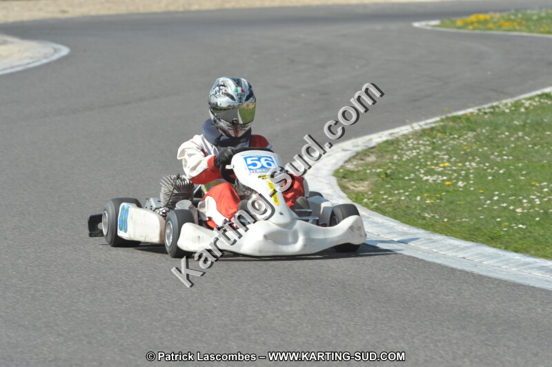 DSC_2311.JPG