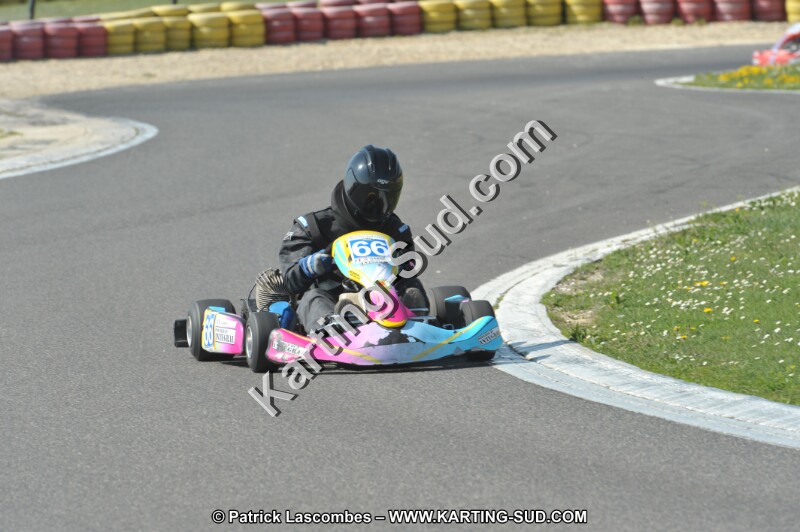 DSC_2319.JPG