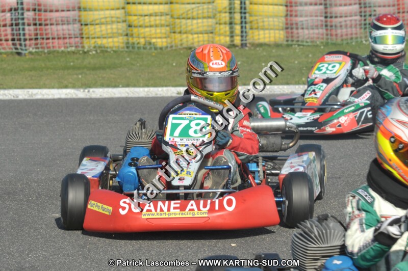 DSC_2378.JPG