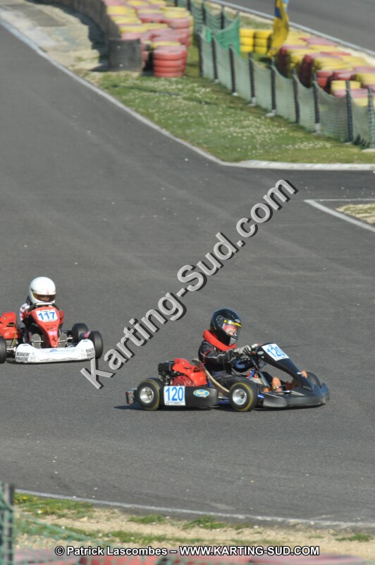 DSC_2408.JPG