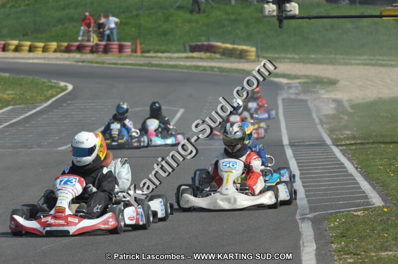 DSC_2590.JPG