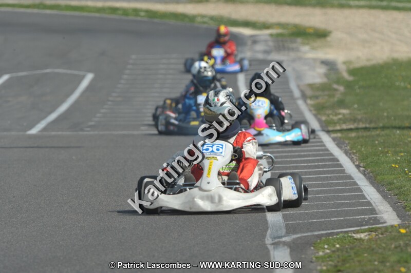 DSC_2597.JPG