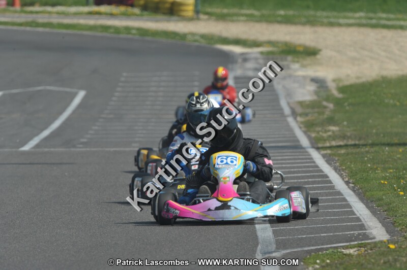 DSC_2598.JPG