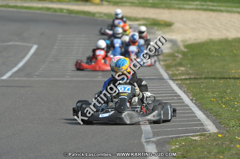 DSC_2667.JPG