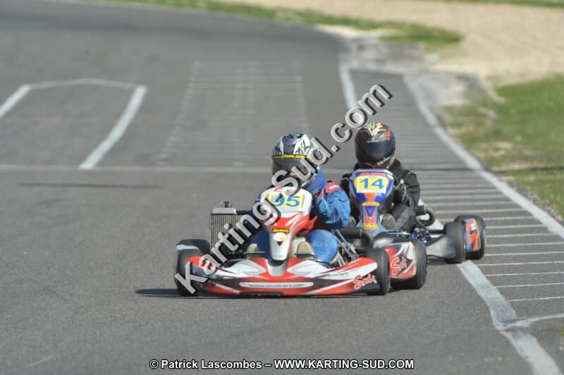 DSC_2769.JPG