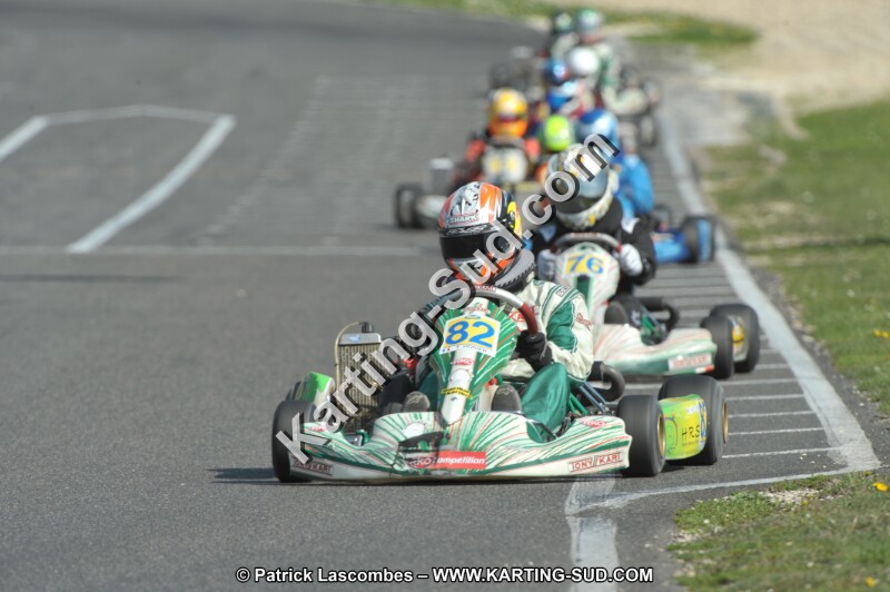 DSC_2798.JPG