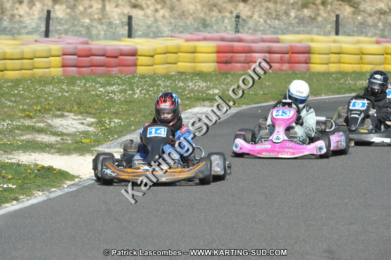DSC_2894.JPG