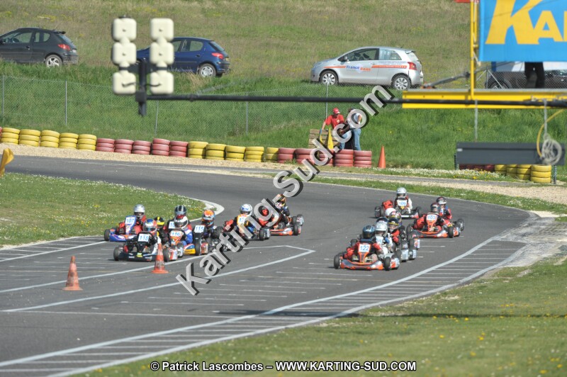 DSC_2990.JPG