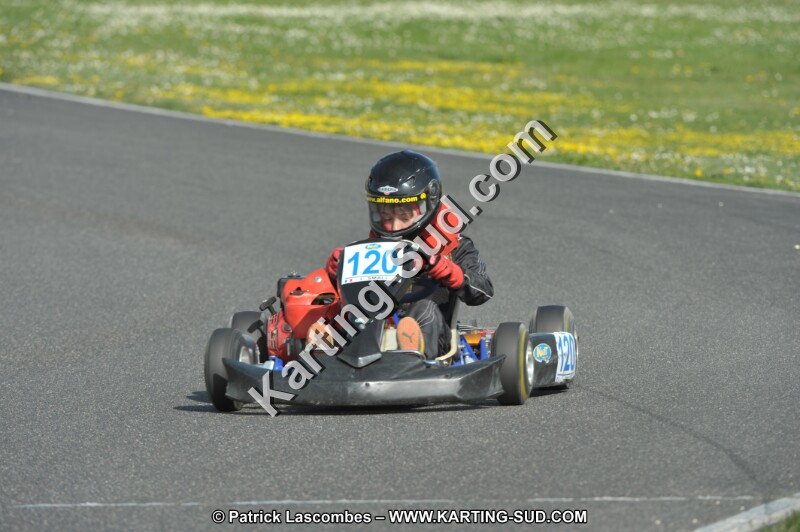 DSC_3064.JPG