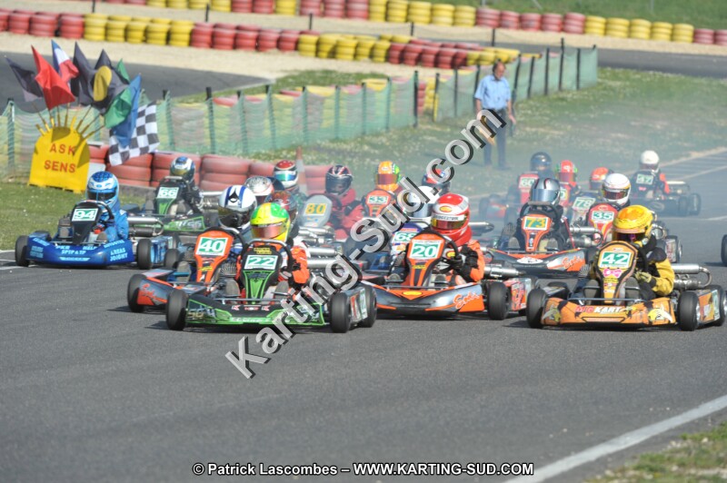 DSC_3077.JPG