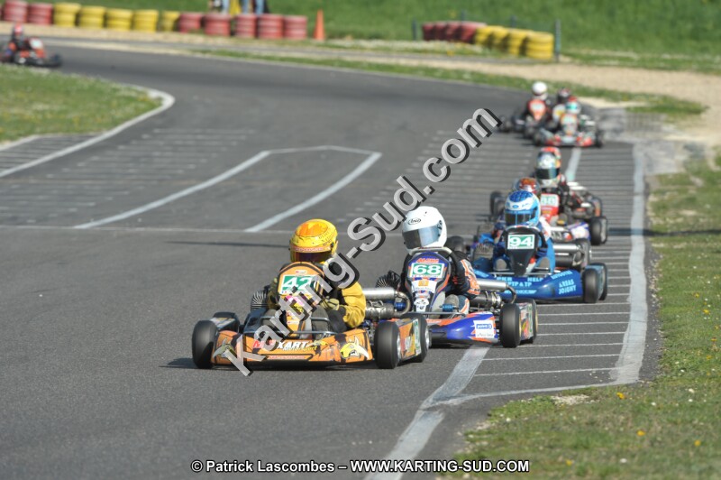 DSC_3103.JPG