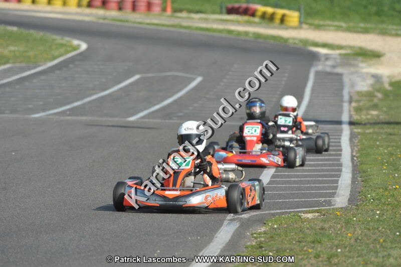 DSC_3131.JPG