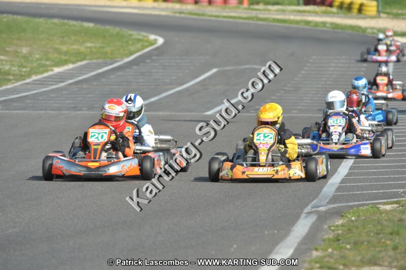 DSC_3132.JPG