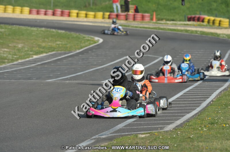 DSC_3335.JPG