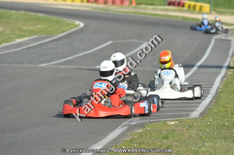 DSC_3381.JPG