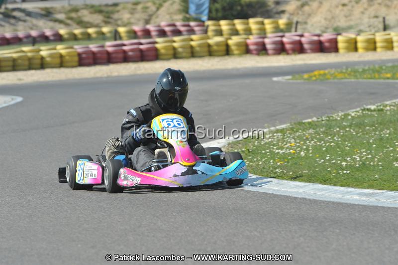 DSC_2308.JPG