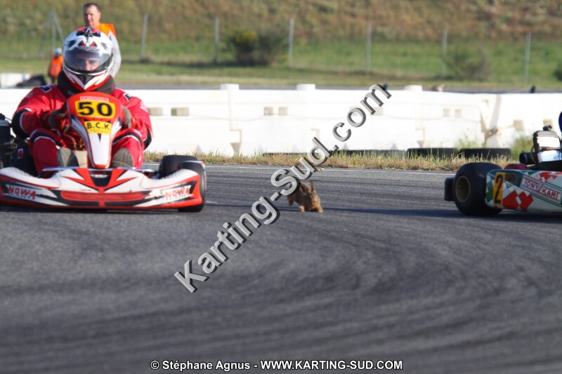IMG_4662.JPG