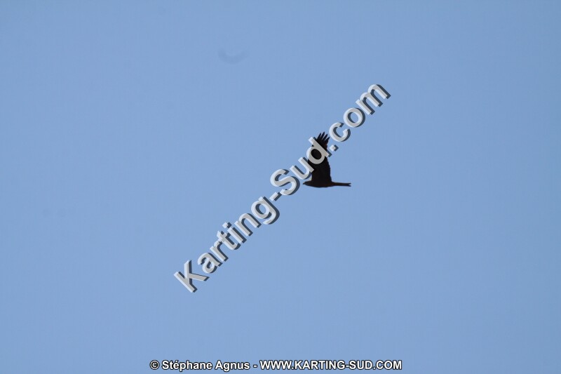 IMG_5491.JPG