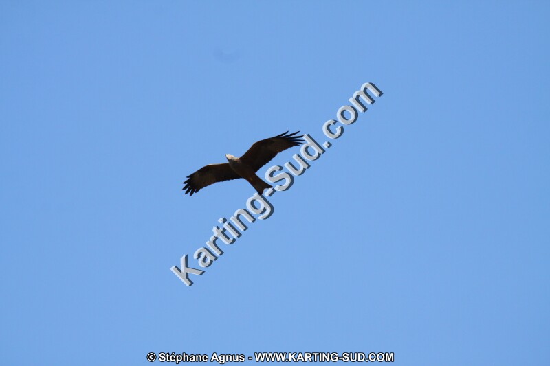 IMG_5780.JPG