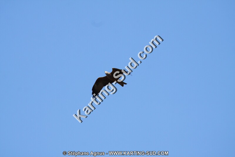 IMG_5781.JPG
