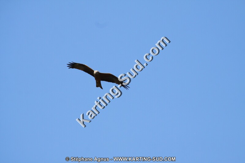 IMG_5782.JPG