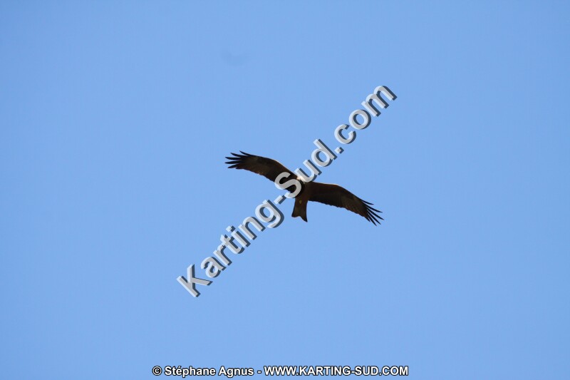 IMG_5783.JPG